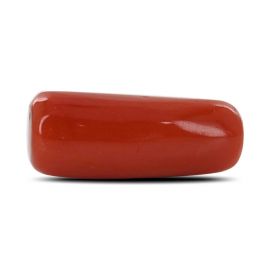 Red Coral (Moonga) - 7.38 Carat 