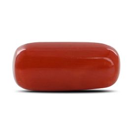 Red Coral (Moonga) - 6.76 Carat 