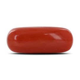 Red Coral (Moonga) - 4.23 Carat 