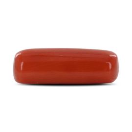 Red Coral (Moonga) - 4.45 Carat 