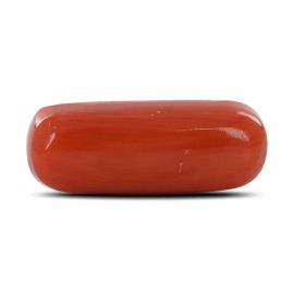 Red Coral (Moonga) - 3.68 Carat 