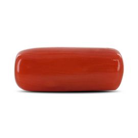 Red Coral (Moonga) - 4.41 Carat 