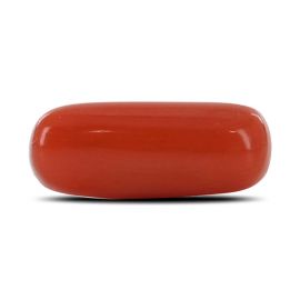 Red Coral (Moonga) - 4.48 Carat 