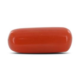 Red Coral (Moonga) - 3.51 Carat 