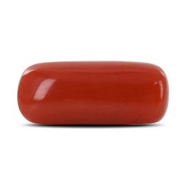 Red Coral (Moonga) - 4.36 Carat 