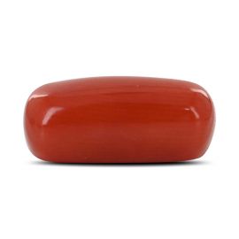 Red Coral (Moonga) - 3.94 Carat 