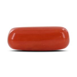 Red Coral (Moonga) - 3.98 Carat 