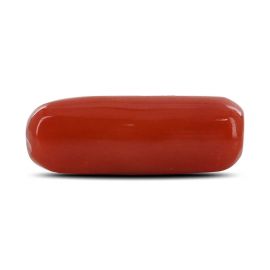 Red Coral (Moonga) - 4.23 Carat 