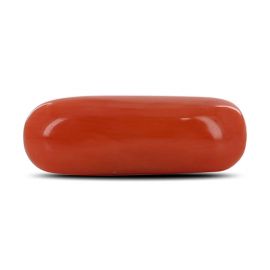 Red Coral (Moonga) - 4.07 Carat 