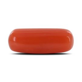 Red Coral (Moonga) - 3.83 Carat 