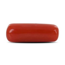 Red Coral (Moonga) - 4.18 Carat 