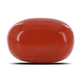 Red Coral (Moonga) - 12.91 Carat 