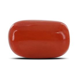 Red Coral (Moonga) - 12.49 Carat 