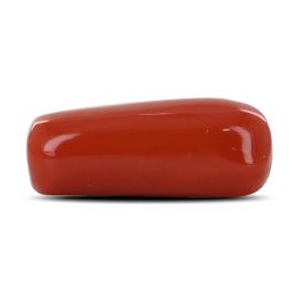 Red Coral (Moonga) - 12.61 Carat 