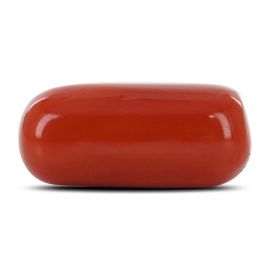 Red Coral (Moonga) - 12.58 Carat 