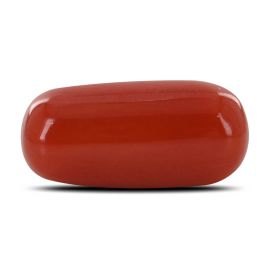 Red Coral (Moonga) - 10.32 Carat 