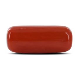 Red Coral (Moonga) - 10.35 Carat 