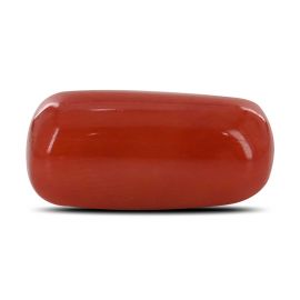 Red Coral (Moonga) - 10.36 Carat 