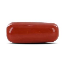 Red Coral (Moonga) - 9.26 Carat 