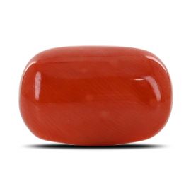 Red Coral (Moonga) - 12.11 Carat 