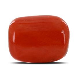 Red Coral (Moonga) - 20 Carat 