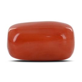 Red Coral (Moonga) - 17.52 Carat 