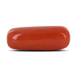 Red Coral (Moonga) - 10.04 Carat 