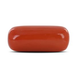 Red Coral (Moonga) - 10.52 Carat 