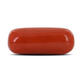 Red Coral (Moonga) - 10.48 Carat 