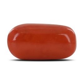 Red Coral (Moonga) - 16.93 Carat 