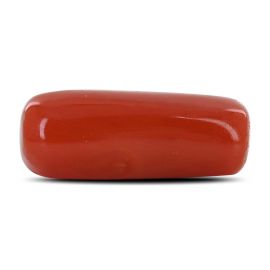 Red Coral (Moonga) - 8.76 Carat 