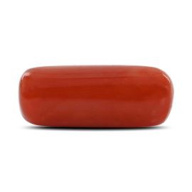 Red Coral (Moonga) - 9.8 Carat 