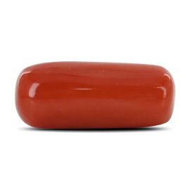 Red Coral (Moonga) - 10.49 Carat 