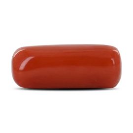 Red Coral (Moonga) - 8.26 Carat 