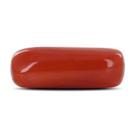 Red Coral (Moonga) - 8.58 Carat 