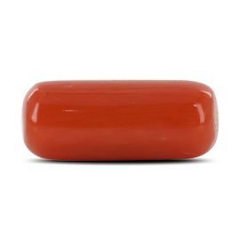 Red Coral (Moonga) - 8.19 Carat 