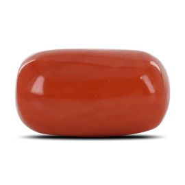 Red Coral (Moonga) - 15.21 Carat 