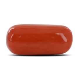 Red Coral (Moonga) - 11.76 Carat 