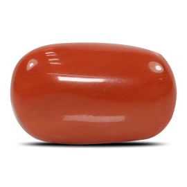 Red Coral (Moonga) - 14.9 Carat 