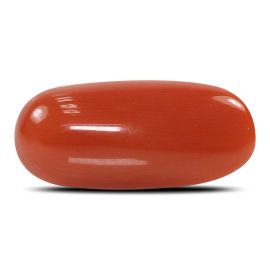 Red Coral (Moonga) - 5.93 Carat 