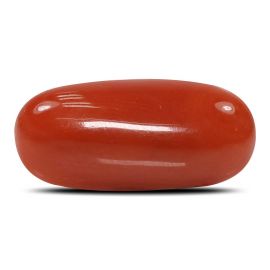 Red Coral (Moonga) - 6.84 Carat 