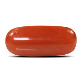 Red Coral (Moonga) - 6.78 Carat 