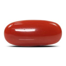 Red Coral (Moonga) - 6.05 Carat 