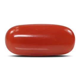 Red Coral (Moonga) - 6.25 Carat 