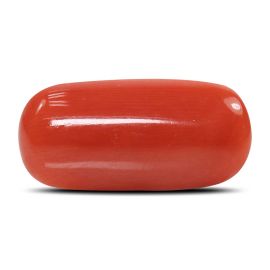 Red Coral (Moonga) - 5.8 Carat 