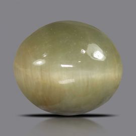 Quartz Cat's Eye - 5.78 Carat 