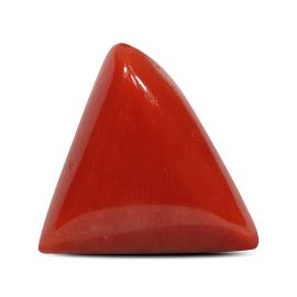 Red Coral (Moonga) - 4.98 Carat 