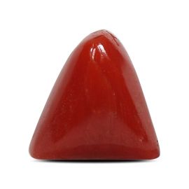 Red Coral (Moonga) - 5.27 Carat 