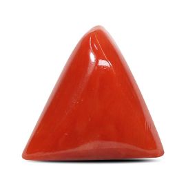 Red Coral (Moonga) - 5.88 Carat 