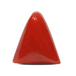 Red Coral (Moonga) - 5.38 Carat 